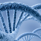 Illustration for article titled Solid-State Systems Could Sequence a Genome For $100